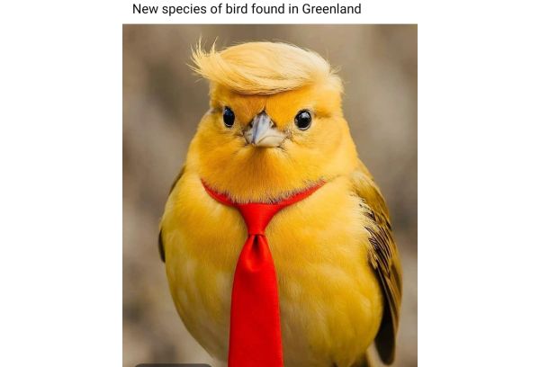 1d